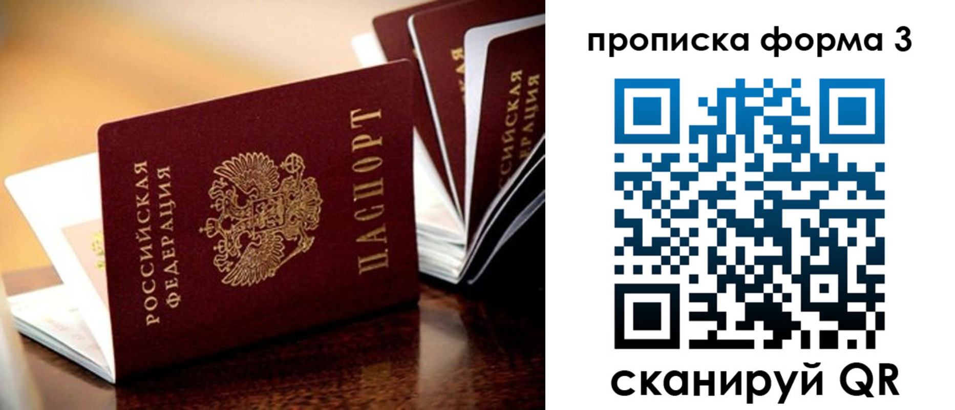 временная регистрация надежно в Светлогорске